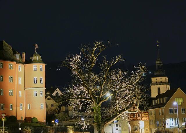 Schloss Bartenau und die Johanneskirche in Künzelsau
