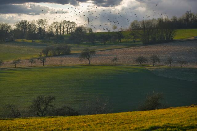 Oberhalb von Ingelfingen Richtung Diebach, herrlich die weiten Felder