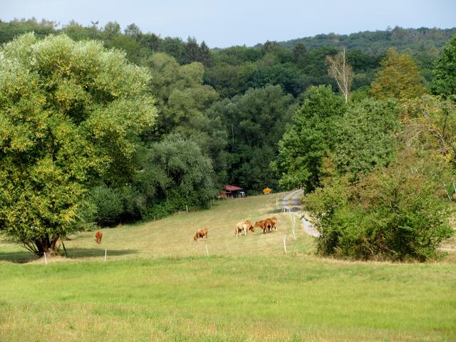 So schön ist das Heilbronner Land: Heiligenbergalm Obergruppenbach
