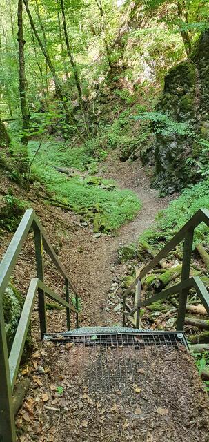 Blick zurück von der ersten Leiter ins Felsental
