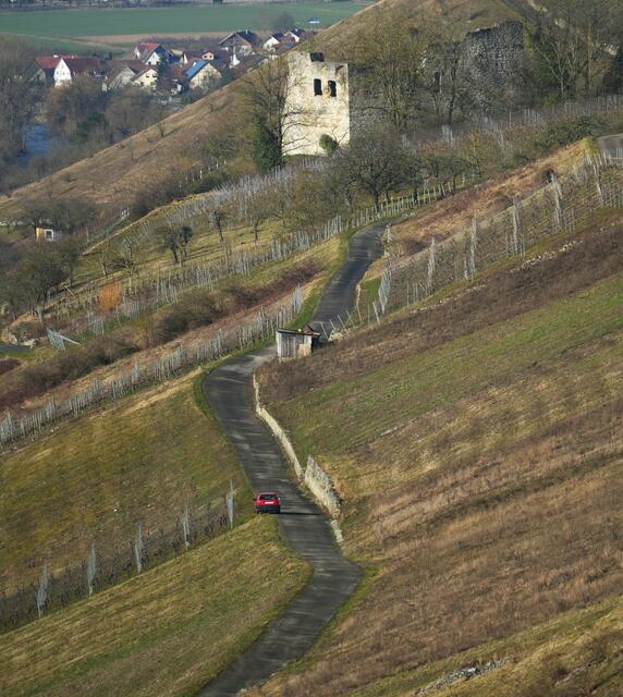 Weinberge Richtung Burgruine Lichteneck