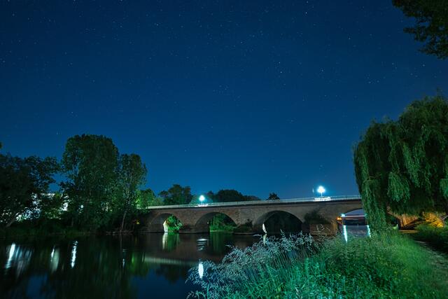 Alte Neckarbrücke zur Blauen Stunde.