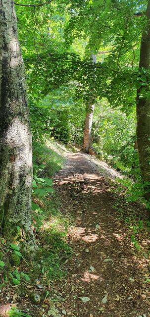 ... bevor es hier auf schmalem Pfad durch den schattigen Wald zurück zum Ausgangspunkt geht.