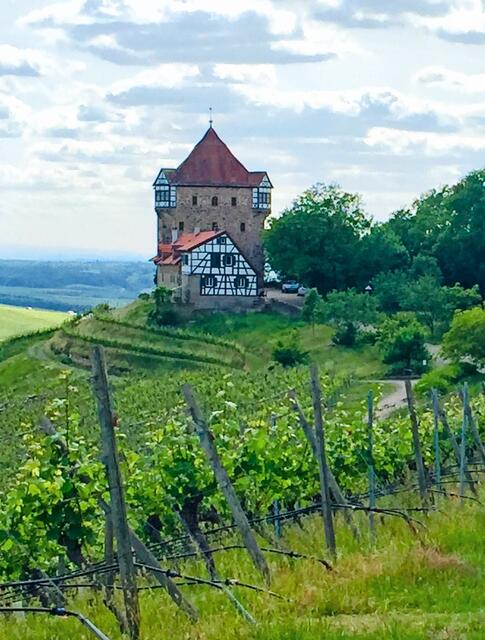 Malerisch anzusehen: die Burg Wildeck. | Foto: Heide Böllinger