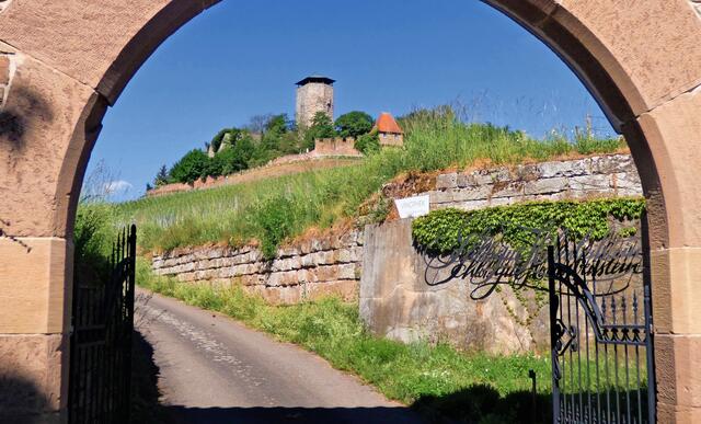 Das Tor gibt einen schönen Blick auf die Burg Hohenbeilstein frei. Sie ist wie in ein Wäldchen eingebettet. | Foto: Sigrid Schlottke