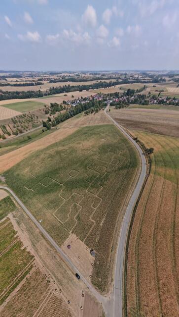 Maislabyrinth Strecker zwischen Eschelbach und Kesselfeld (1)