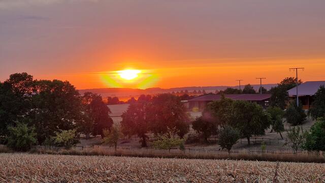 Sonnenuntergang Neuenstein/Klumpenhof