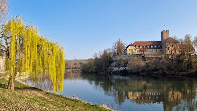 Rathausburg Lauffen