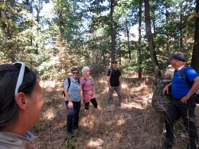 Nachdem der Weg zum Heiligenberg hinauf erkundet war, gingen die Wanderer die Land Art Kunstwerke auf der Strecke ab.