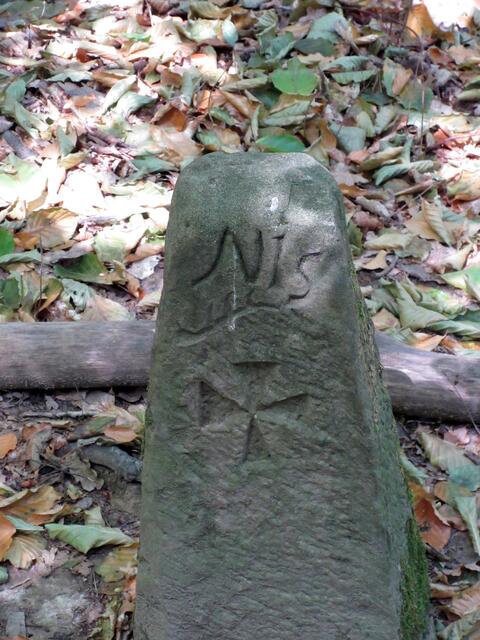 Am Grenzweg findet man viele interessante Steine. Hier handelt es sich nicht nur um einen Grenzstein, er ist gleichzeitig ein Güterstein.
