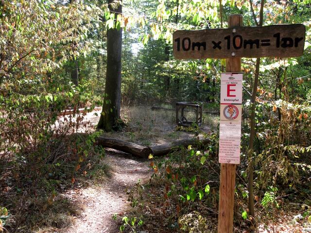 100 qm. Hier im Wald sehen die so klein aus. Als Wohnung sind sie kaum bezahlbar.