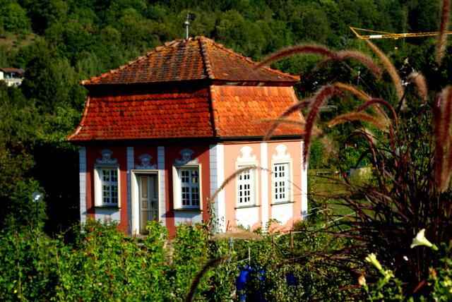 Forchtenberg, am Teehaus