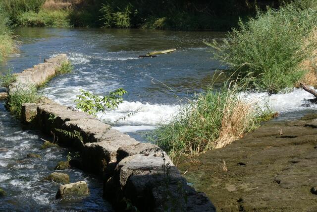 Am Kocherwehr