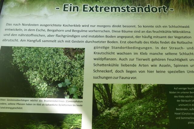 Noch eine Informationstafel, die recht gut hier zu lesen ist.