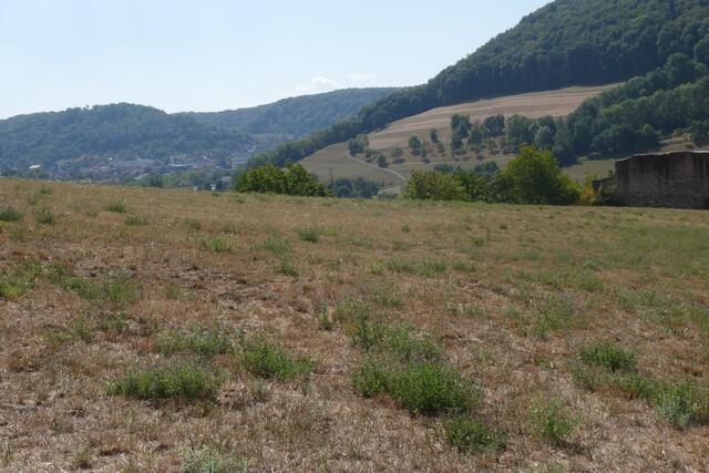 Blick von oberhalb der Zarge nach Künzelsau ...  rechts am Bildrand kann man noch die Ruine erkennen.