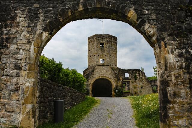 Burgruine Forchtenberg