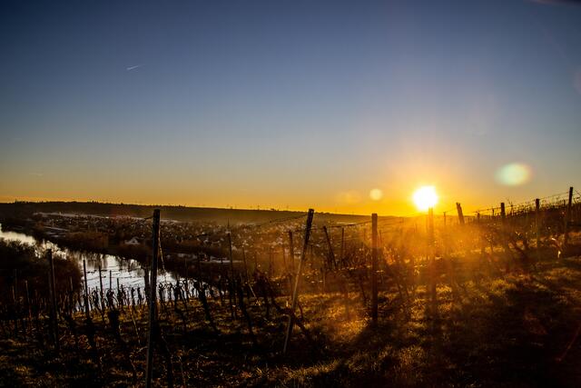 Sonnenuntergang an der Neckarschleife Kirchheim
