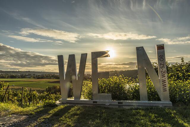 Guten WEIN gibts bei Lauffen auch an der Weinterrasse