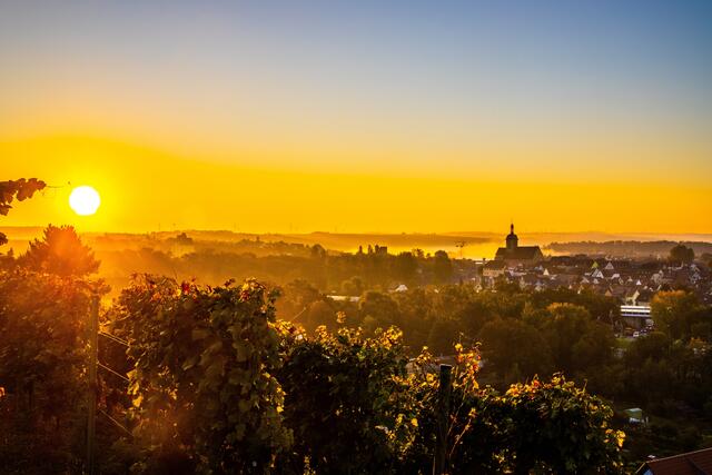 Ein Herbstmorgen in Lauffen am Neckar
