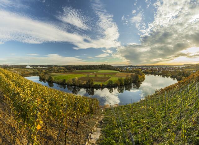 Blick auf die Neckarschleife bei Lauffen - rechts Kirchheim und links das Kernkraftwerk