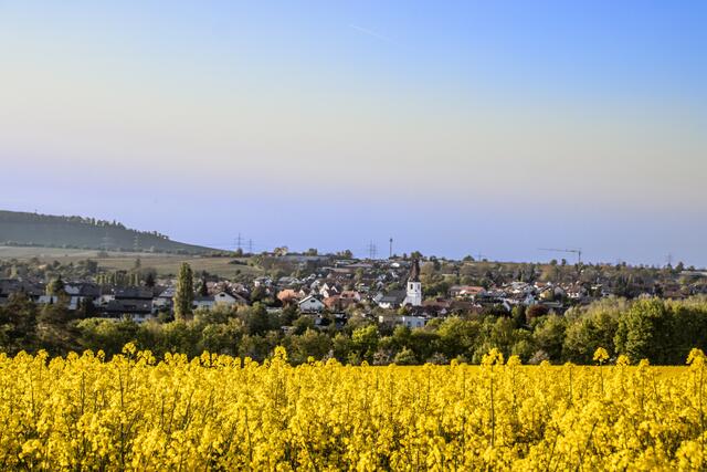 Blick auf Nordheim und den Heuchelberg