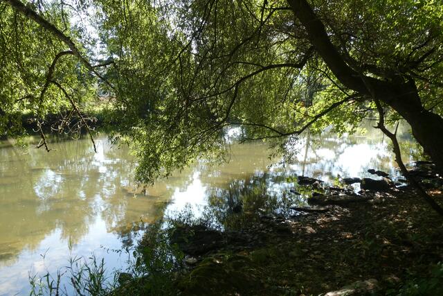 Idyllischer Blick auf den Kocher vom historischen Klebweg her