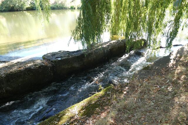 Am Kocherwehr bei dem Weiler Scheurachshof