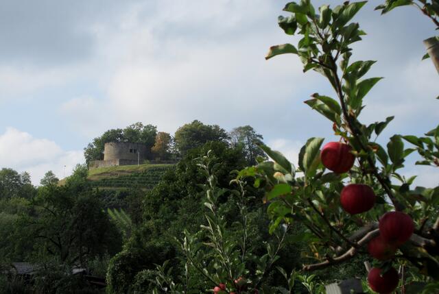 Von Richtung der Autobahn, also Nordosten, sind wir am Schützenhaus vorbei. Hier wandelt sich das Bild von Weinbergen zu Streuobstwiesen.