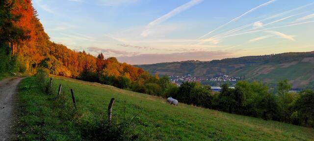 Blick Richtung Criesbach im Morgenrot