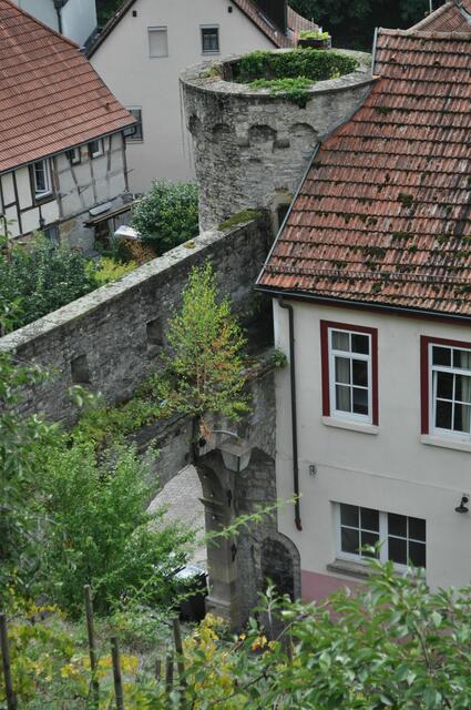 Blick aufs untere Tor | Foto: Daniela Somers