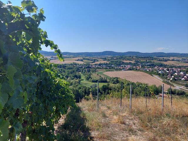 Blick vom Rauberg auf Sülzbach - bei Sonnenschein.