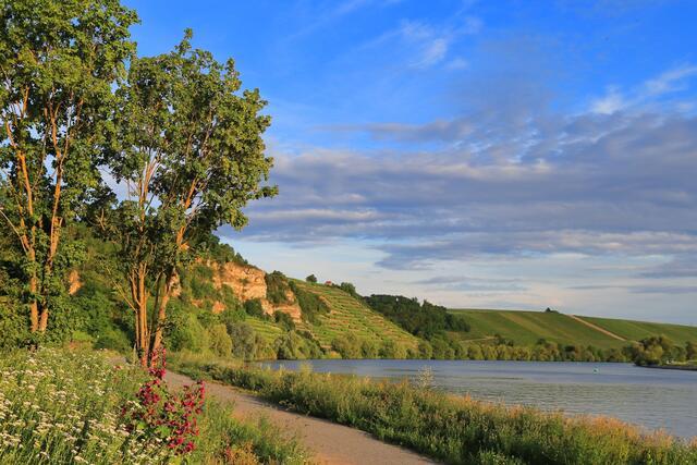 Den Krappenfelsen vom Neckar aus gesehen hat Heimatreporter Frank-Michael Zahn festgehalten. | Foto: Frank-Michael Zahn