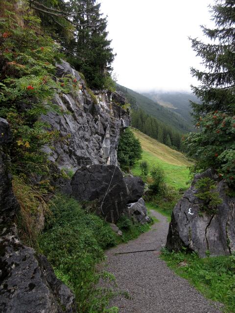 Hier ist der Klettergarten erreicht, der dient wohl zum Üben für Anfänger