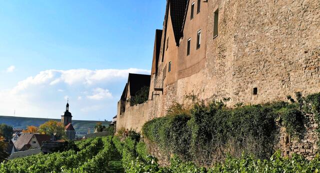 Die Mauer ums Städtle zeigt den Charme von Lauffen. | Foto: Karl-Heinz Wachtler