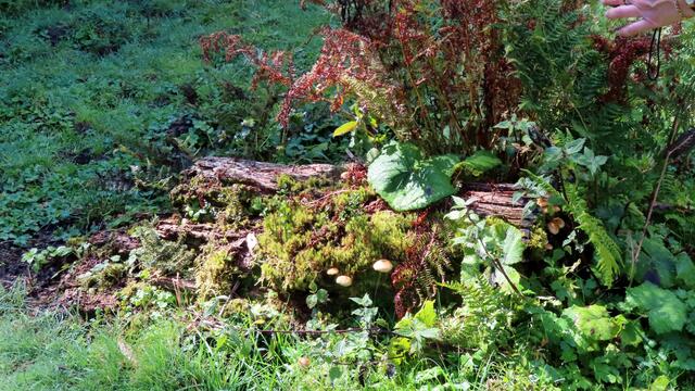 Land Art ohne Künstler, was die Natur so schafft