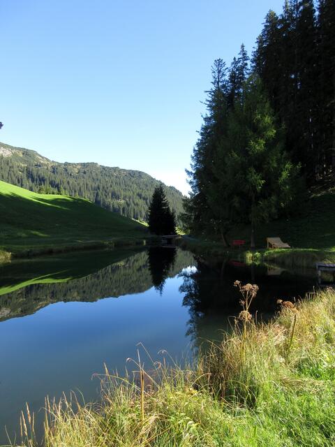 Seebachsee in der Morgensonne