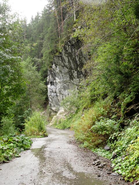 Über dieses schmale Sträßchen lief früher der gesamte Verkehr nach Lech. Nun gibt es die Bundesstraße und die Natur holt sich langsam zurück, was ihr gehört.