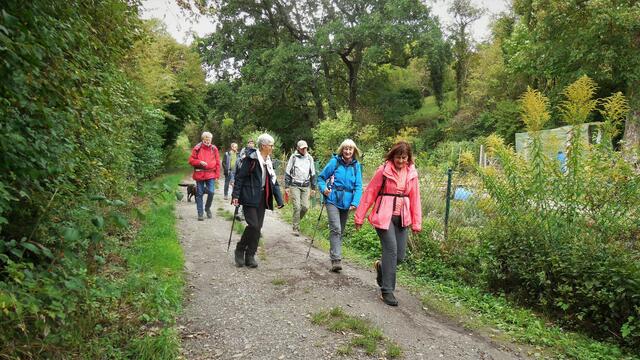 Entlang der Schrebergärten und kurz vor unserem Ziel bei Untergruppenbach