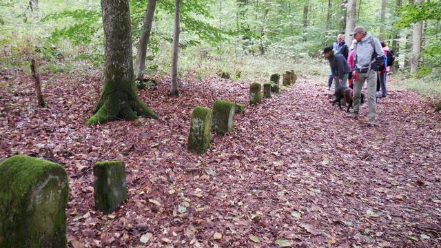 Der Försterhund Friedhof bei der Bürkleshütte