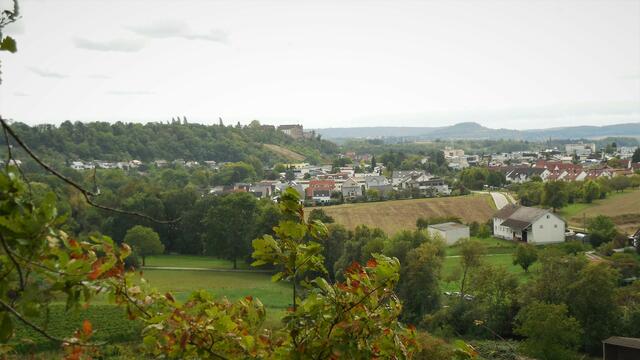 Herrlicher Ausblick nach Untergruppenbach, zur Burg und dem Forstberg im Hintergrund