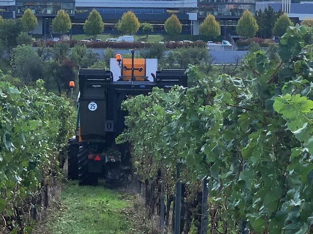 der Vollernter in Betrieb