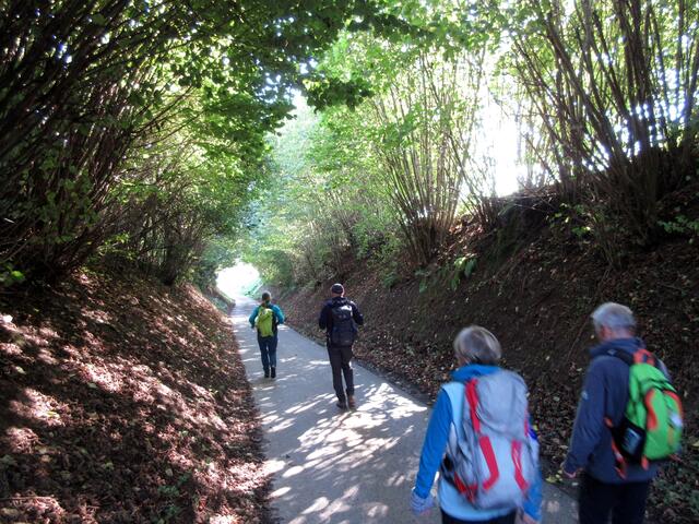 Mal wieder eine andere Strecke gewählt und so kamen wir durch diesen schönen Hohlweg nach Donnbronn