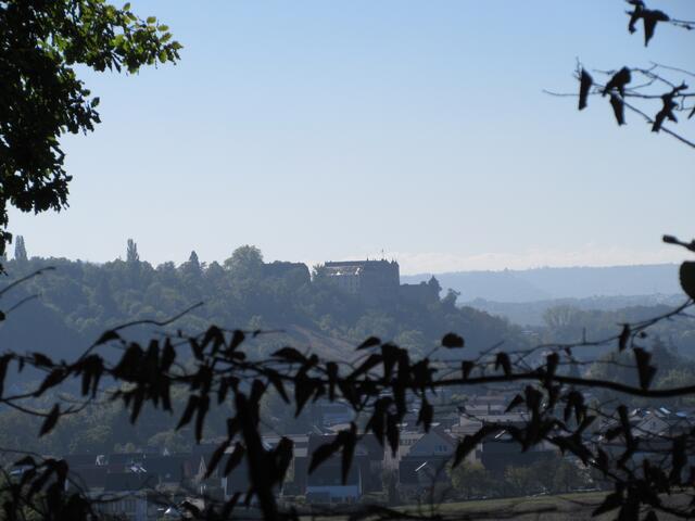Vom Donnbronner Randweg hat man eine tolle Aussicht auf die Burg Stettenfels im Morgennebel