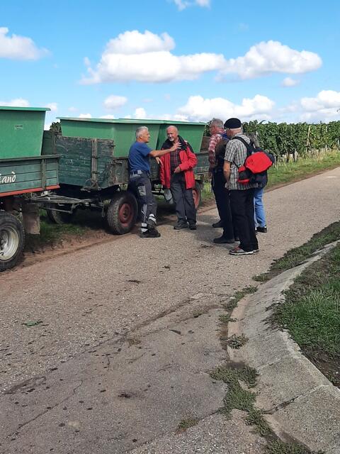 Fragen an den Landwirt werden gerne beantwortet
