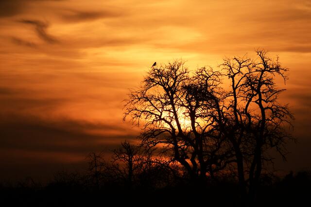 Sonnenuntergang bei Gaisbach