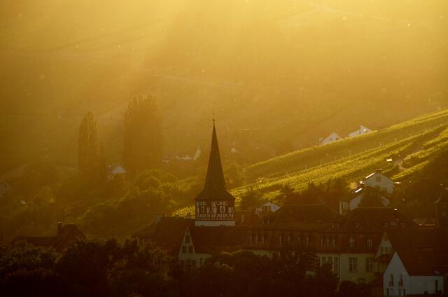 Kirche Ingelfingen