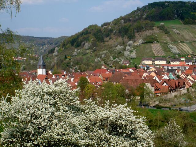 Frühling in Niedernhall
