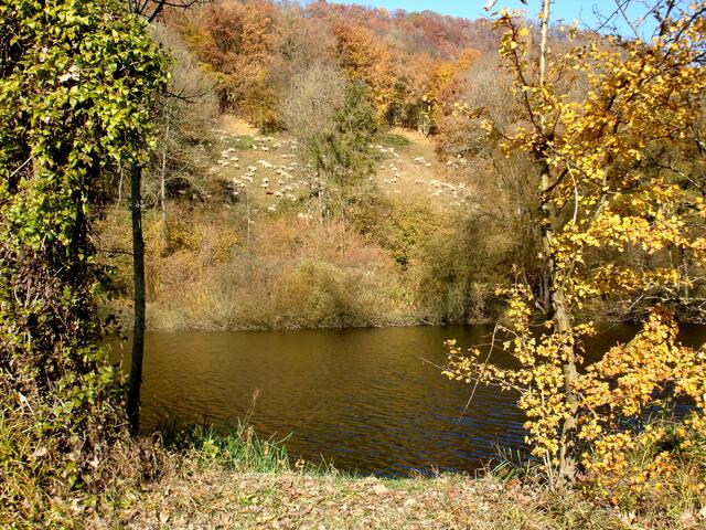 Herbst am Kocher