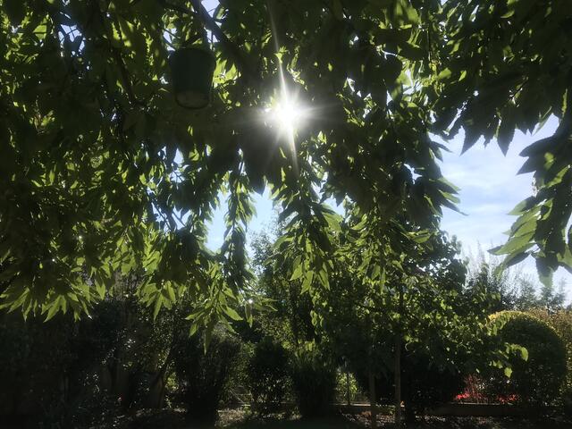 Ein schöner Sonnenschutz