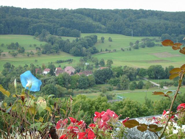 Blick von Nagelsberg auf den Weiler Scheurachshof bei Ingelfingen